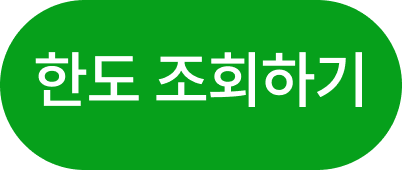한도 조회하기
